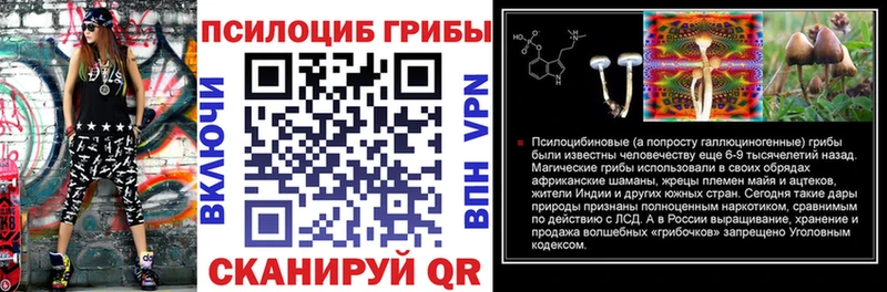 Псилоцибиновые грибы прущие грибы  купить  цена  Новочебоксарск 